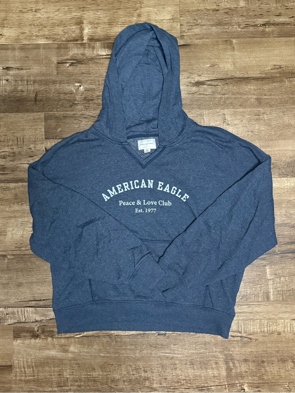 American Eagle Outfitters Women's Blue V-Neck Hoodie Sweater